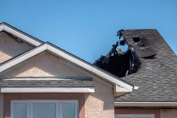 Top rated local Odor Removal specialists in Sauk Rapids, MN